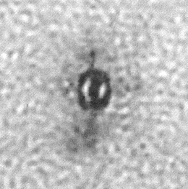 AARO "South Asia Object" — close-up of unidentified ring-shaped object captured during the April 2023 SASC presentation.